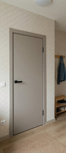   Межкомнатная дверь винил Браво-0 Grey Pro