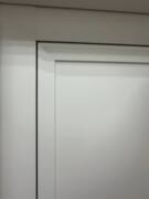 Межкомнатная дверь ПЭТ PST-38 Белый матовый