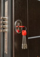 Входная дверь Бастион Венге