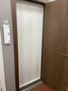 Межкомнатная дверь с эко шпоном Браво 0  White Dreamline