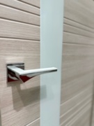 Межкомнатная дверь с эко шпоном Новелла 1 беленый дуб