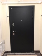 Входная дверь Гектор лучи милк