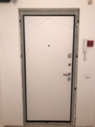 Входная дверь Гектор лучи милк