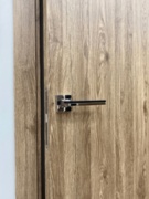  Межкомнатная дверь экошпон Браво-0 Original Oak