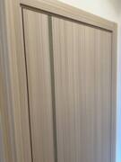  Межкомнатная дверь с эко шпоном P-22 Эвкалипт австралийский