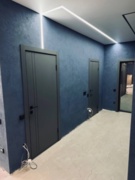 Межкомнатная дверь с эко шпоном PX-20 Графит