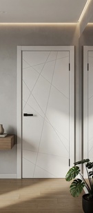   Межкомнатная дверь ПЭТ Граффити-5.Д.П White Silk