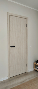   Межкомнатная дверь экошпон Браво-0 Nordic Oak