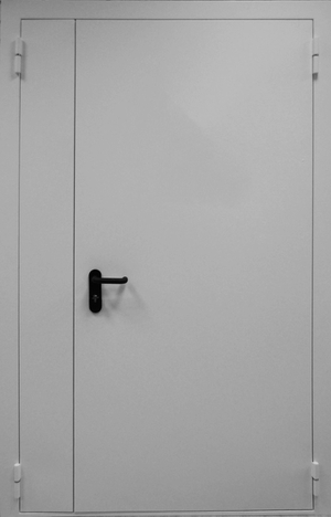 Входная дверь техническая двуполая ДМ-02